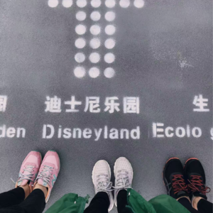 Vol 9 两个运动小白眼中的体育世界