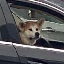 十八母校舞会站着如喽啰