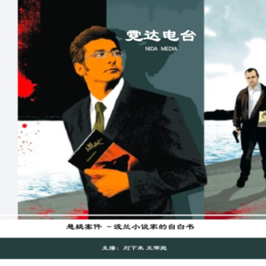 35. 悬疑惊悚小说《杀人狂(AMOK)》:一位波兰小说家的自白书