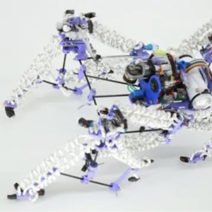 E142-机器人长出"意大利面肌肉"！能举起 100 倍自己重量的秘密