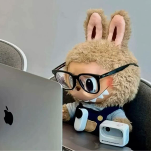 08.一代邪神Labubu,怎么就成了当代年轻人的情感寄托和精神替身?