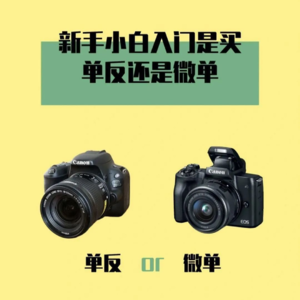 No.9-买单反还是买微单？