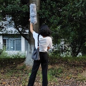 付昌健：树上停电动车这事合理吗？哦，是乌鸫！