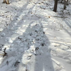 两个女权好友的除夕对谈（亲密关系2）