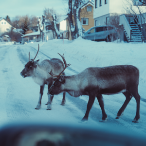 Vol.25 别跟我聊旅行的意义，当下就是意义