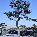 蜗牛_cRxT