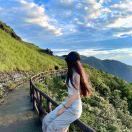 Penny心理咨询浸泡版