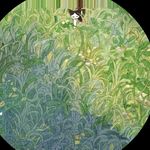 桃夭_KLPy