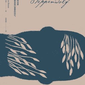 infj书籍推荐《荒原狼》黑塞 有声书