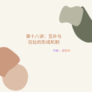 第十八讲:互补与拉扯的形成机制-案例解析