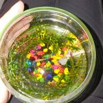 木头不睡觉