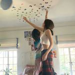 小茶花_FMbl
