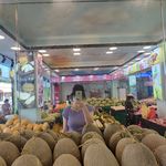 汤圆不知道叫什么名字