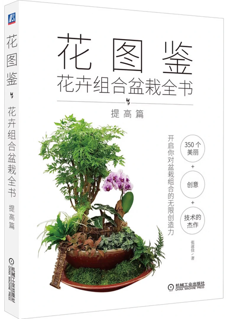 花图鉴：花卉组合盆栽全书（提高篇）