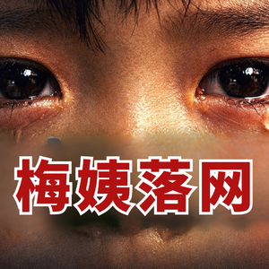 起底“梅姨”案，拐卖9名儿童只是冰山一角，揭秘人贩子背后黑幕