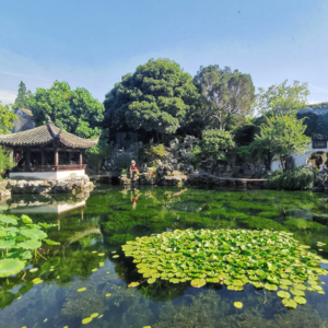 14 漫游苏州十二时辰,探秘园林城市意趣