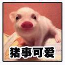 好奇心与勇气