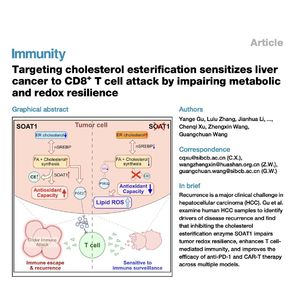 1340-Sensitize Liver Cancer for Immunotherapy