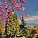 中戏男宿舍阿姨