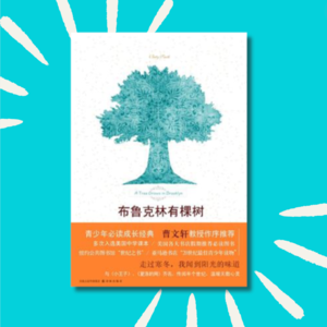 89 《布鲁克林有棵树》:一本能给你勇气的书!