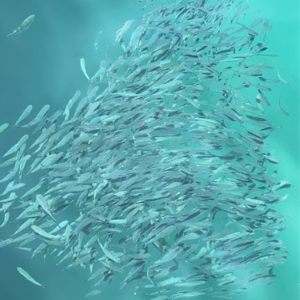 016.与2025年的自己，好好告个别吧！