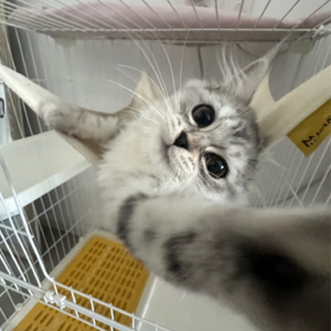 4.九月你好！九月再见！