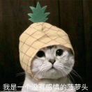 小牛牛_wab6