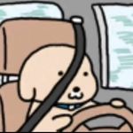 每天在随处听的人