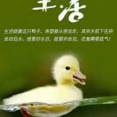 过客_ntuu