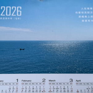 美好的2026计划——展览、剧本、纪录片及其他尝试们