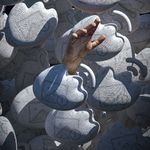 热心网友刘某某