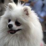 浪漫主义的夜晚