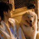 wy_jory