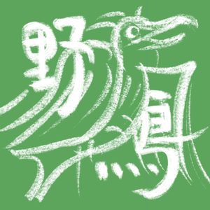 野鸟呀