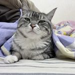 为喝一嘿嘿疯狂进城