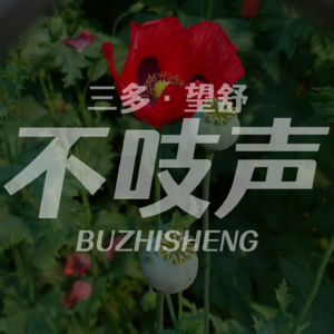 EP42.行动代号831-平远事件始末