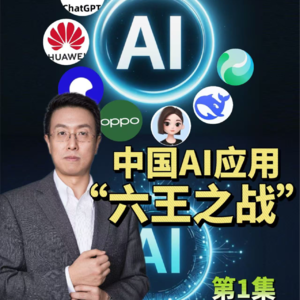 第599集 中国AI应用，“六王之战”