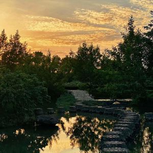 039. 小镇青年在蒲江|生活有限,好奇无限,万物皆可爱