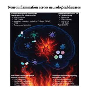 004-Neuroinflammation Across Neurological Diseases