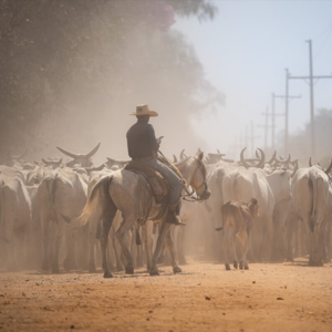 022 追思与回望：俞孔坚教授的学术光影