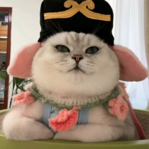 资本市场舆情解读【12月05日】