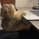 YWT_vj3N