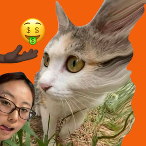 096-美国年轻人把钱花哪了？也爱买黄金吗
