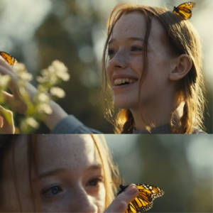 致安妮:斯人若彩虹,相遇方知有