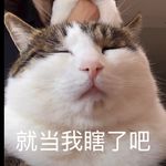 momo到处跑