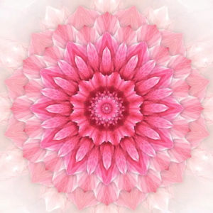 深度冥想 ｜寻找迷路的小孩 了解原生之痛