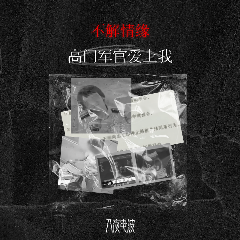 040.不解情缘，高门军官爱上我 episode artwork