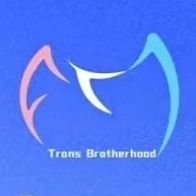 兄弟盟的前生今世