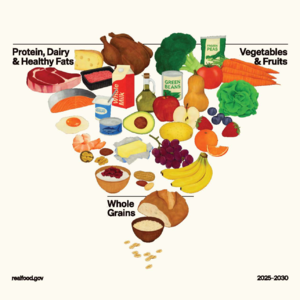 【第四期】短短&Vian：“倒转的金字塔”-最新版的美国饮食指南对我们有什么参考意义？