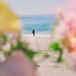 妮蔻女巫和曲奇饼干